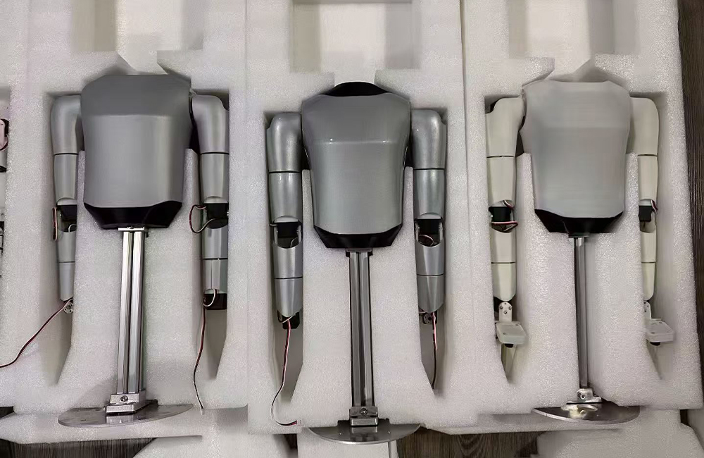 Robot prototype